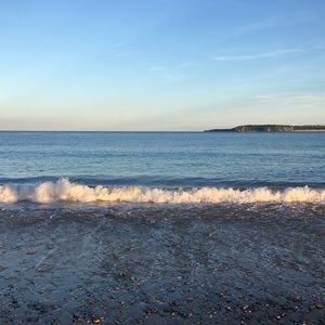 Meet your Posher, Teleri